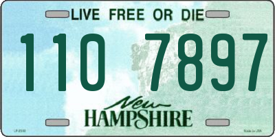 NH license plate 1107897