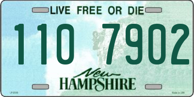 NH license plate 1107902