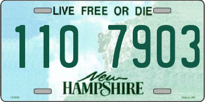 NH license plate 1107903