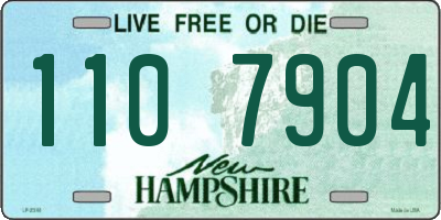 NH license plate 1107904