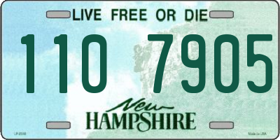 NH license plate 1107905