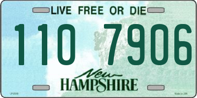 NH license plate 1107906