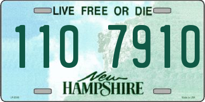 NH license plate 1107910