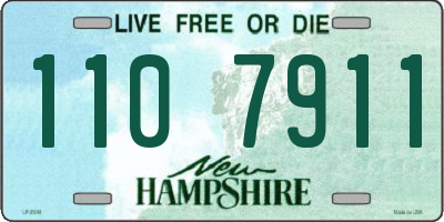 NH license plate 1107911
