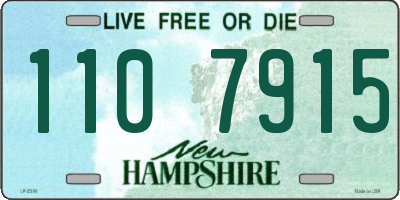 NH license plate 1107915