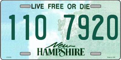 NH license plate 1107920