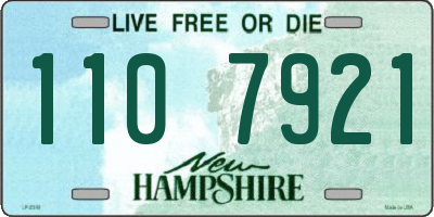 NH license plate 1107921