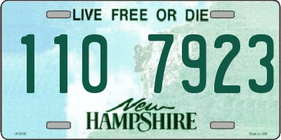 NH license plate 1107923