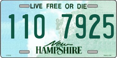 NH license plate 1107925