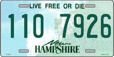 NH license plate 1107926