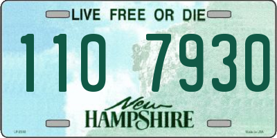 NH license plate 1107930