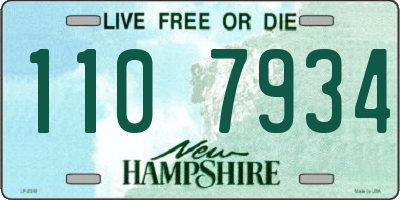 NH license plate 1107934