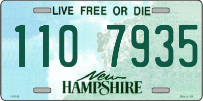 NH license plate 1107935