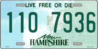 NH license plate 1107936