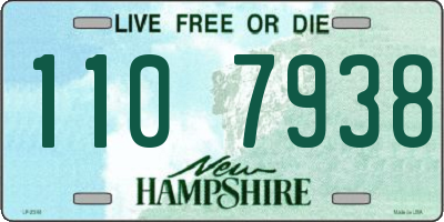 NH license plate 1107938