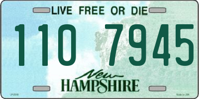 NH license plate 1107945