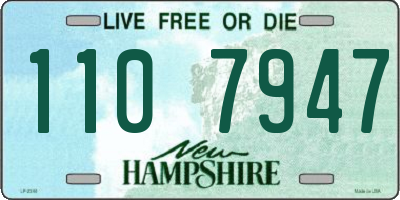 NH license plate 1107947