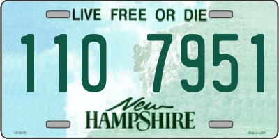 NH license plate 1107951