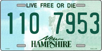 NH license plate 1107953