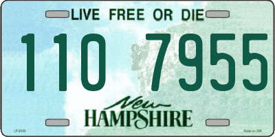 NH license plate 1107955