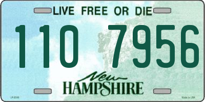 NH license plate 1107956
