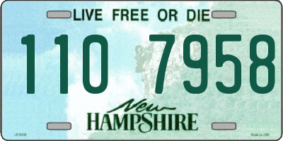 NH license plate 1107958