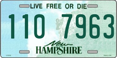 NH license plate 1107963