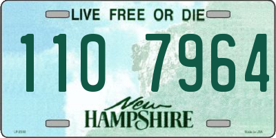NH license plate 1107964