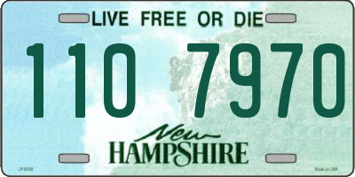 NH license plate 1107970