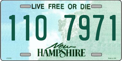 NH license plate 1107971