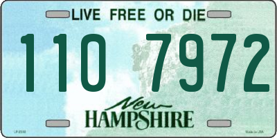 NH license plate 1107972