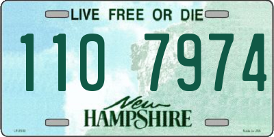 NH license plate 1107974