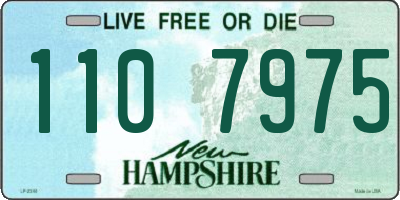 NH license plate 1107975