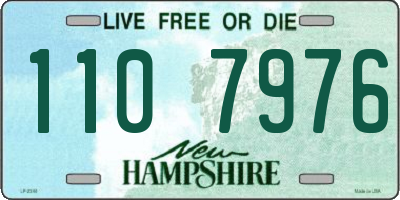 NH license plate 1107976