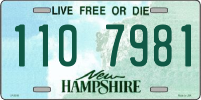 NH license plate 1107981
