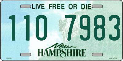 NH license plate 1107983
