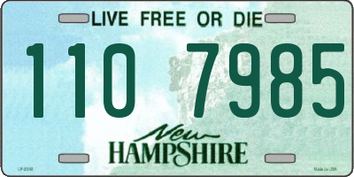 NH license plate 1107985