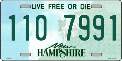 NH license plate 1107991