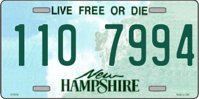 NH license plate 1107994