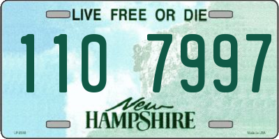 NH license plate 1107997