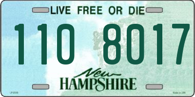 NH license plate 1108017