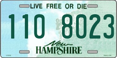 NH license plate 1108023