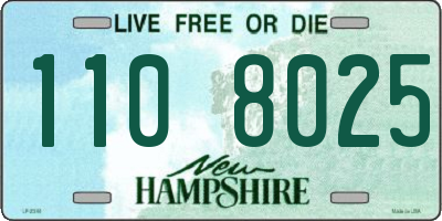 NH license plate 1108025