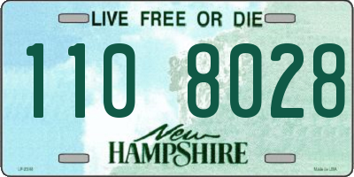 NH license plate 1108028