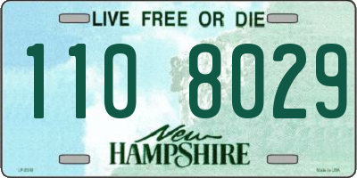 NH license plate 1108029