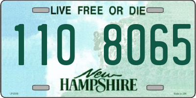 NH license plate 1108065