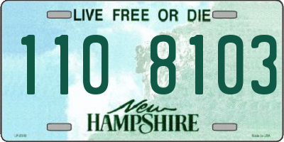 NH license plate 1108103