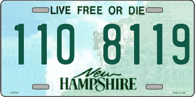 NH license plate 1108119
