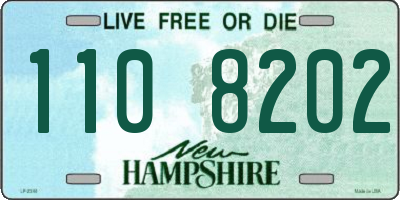 NH license plate 1108202