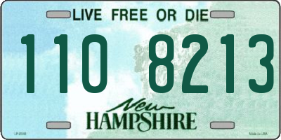 NH license plate 1108213